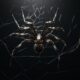 Should I Kill a Black Widow Spider