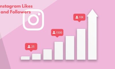 Instagram Growth Services