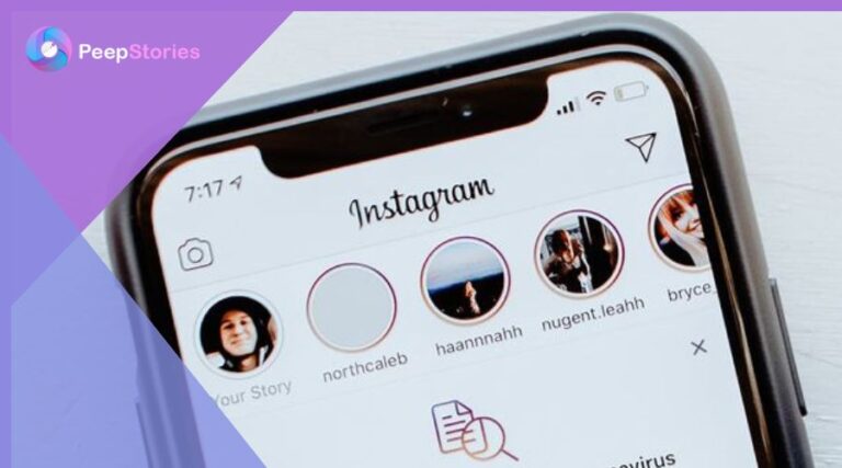 Instagram Story Viewer