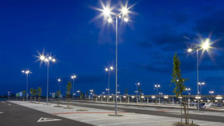 Dimmable Canopy Light Fixtures