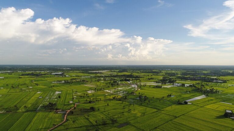 Farm Land