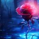 Beauty and the Beast Rose