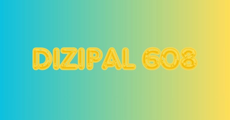 Dizipal 608