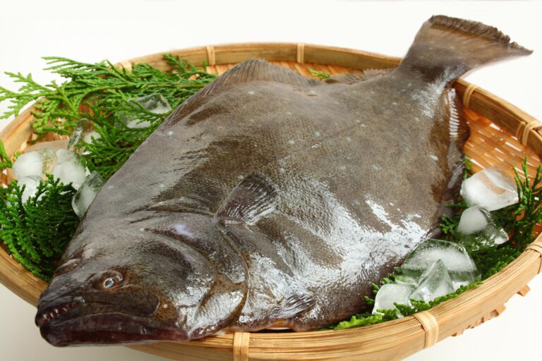 Hirame Fish