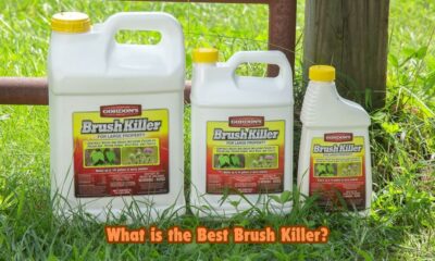 What is the Best Brush Killer