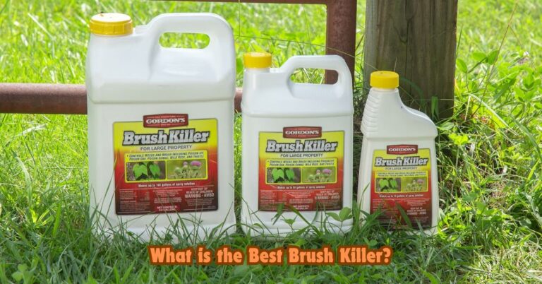 What is the Best Brush Killer