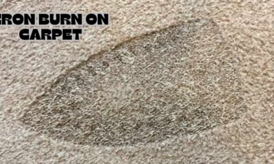 Iron Burn On Carpet