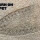 Iron Burn On Carpet