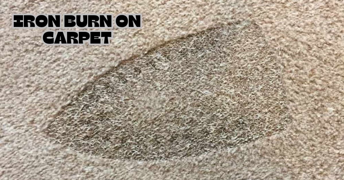 Iron Burn On Carpet