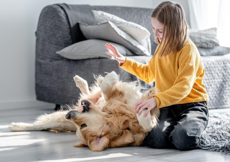 Dog's Allergy Relief