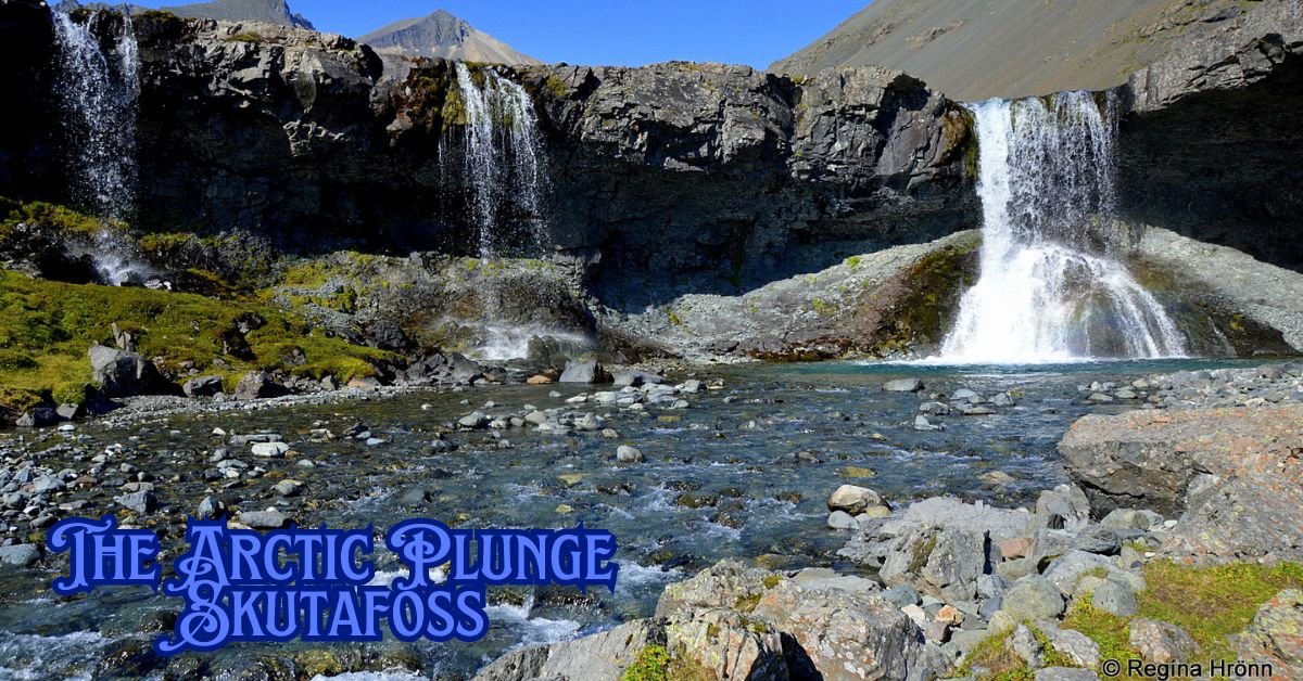 The Arctic Plunge Skutafoss