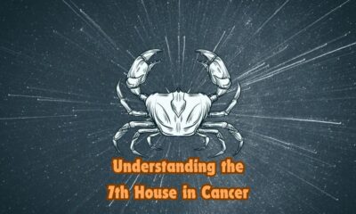 Understanding the 7th House in Cancer