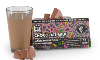 Mushroom Chocolate