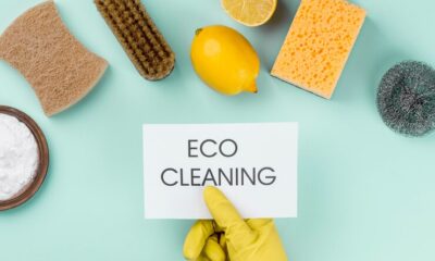 Eco-Friendly Cleaning Practices