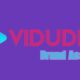 Vidude Brand Assets