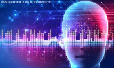 Machine Learning Audio Fingerprinting