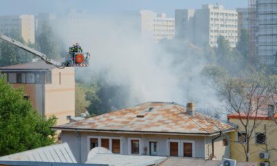 Roof Cleaning