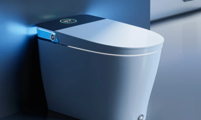 Smart Toilet