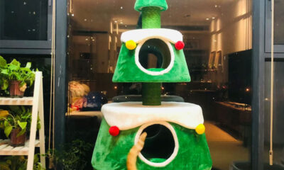 Festive Cat Trees