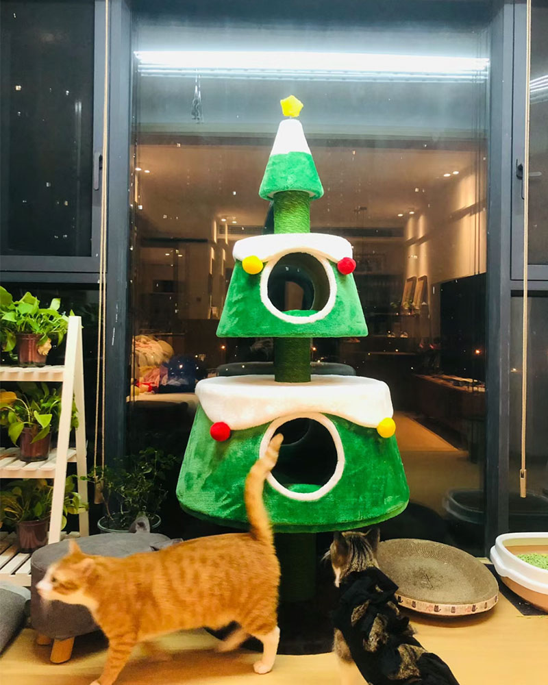 Festive Cat Trees