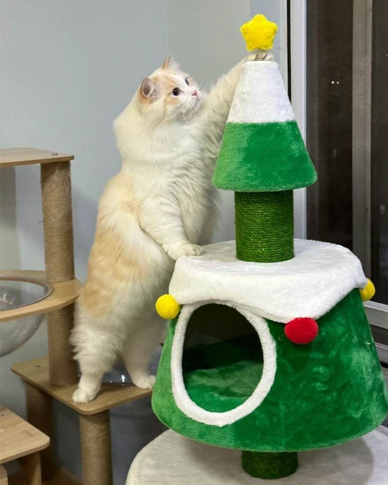 Festive Cat Trees