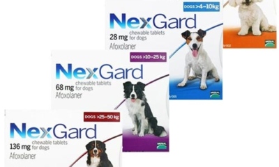 NexGard