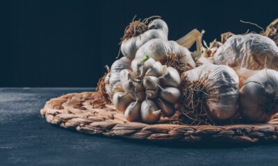 Profit Margins on Organic Garlic Farming