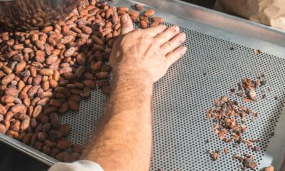 How to Roast Cacao?