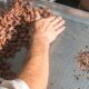 How to Roast Cacao?