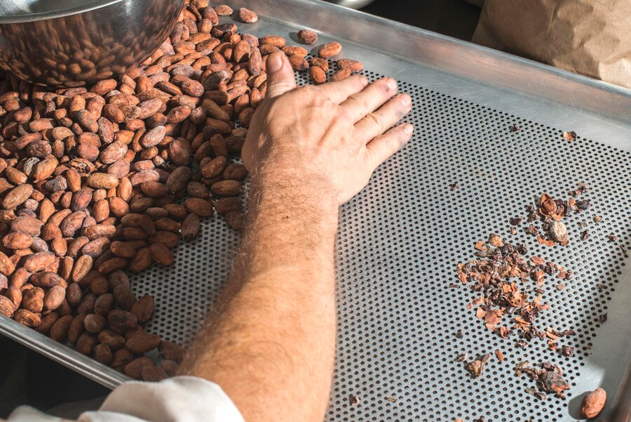 How to Roast Cacao?