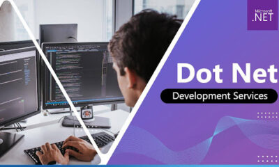 Dot NET Development Services