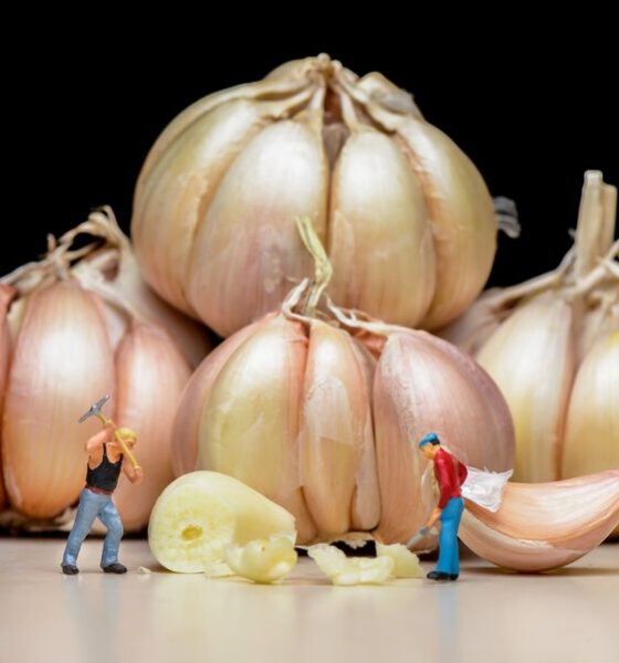 Global Garlic Export Business Growth Potential