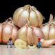 Global Garlic Export Business Growth Potential