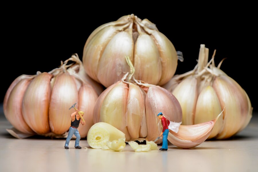 Global Garlic Export Business Growth Potential