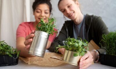 How to Build a Sustainable Garden Using Recycled Materials