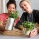 How to Build a Sustainable Garden Using Recycled Materials