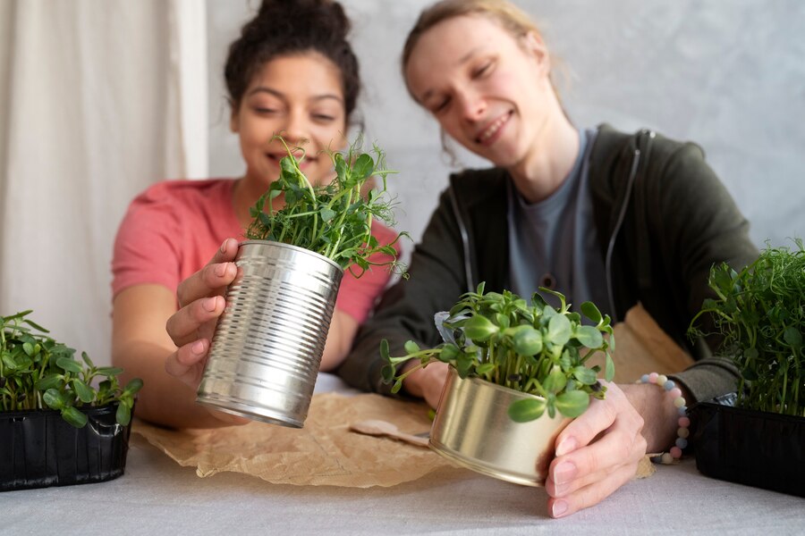 How to Build a Sustainable Garden Using Recycled Materials