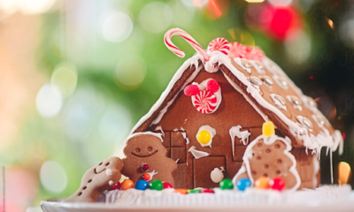 Bulk Gingerbread House Kits