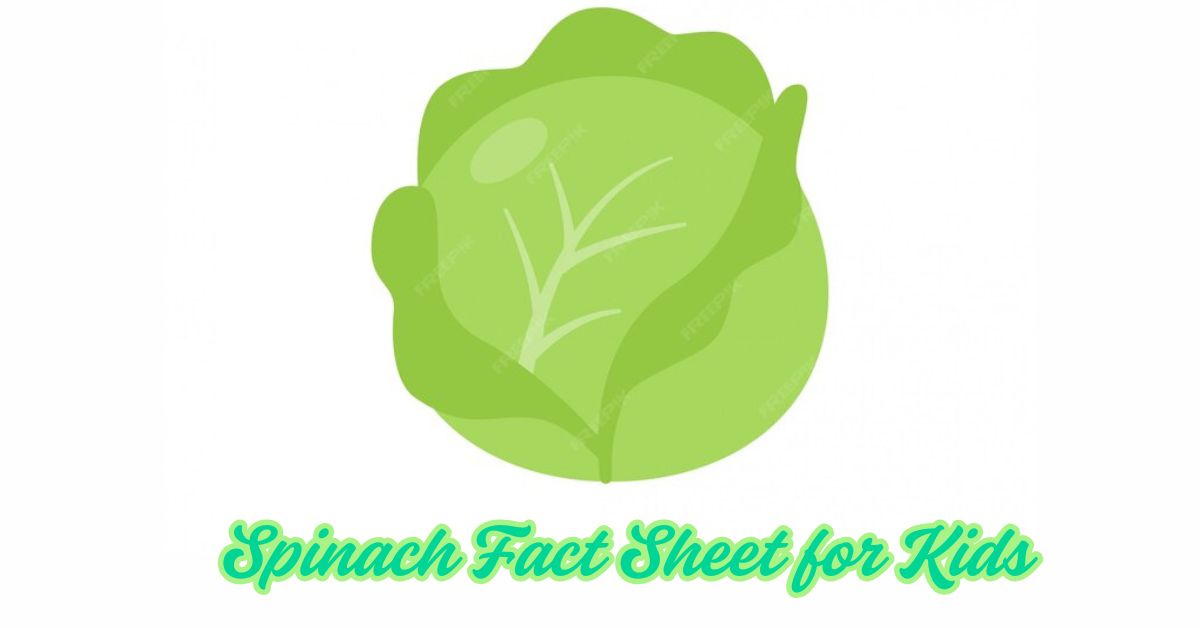 Spinach Fact Sheet for Kids