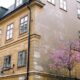 Best Student Apartments