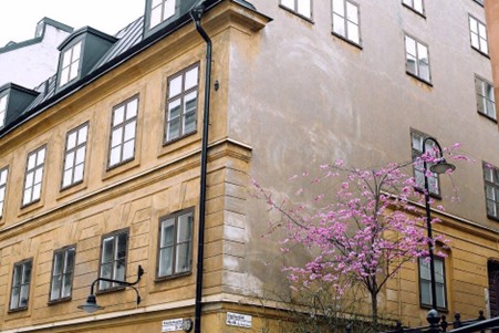 Best Student Apartments