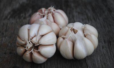 The Rise and Fall of G1 Garlic