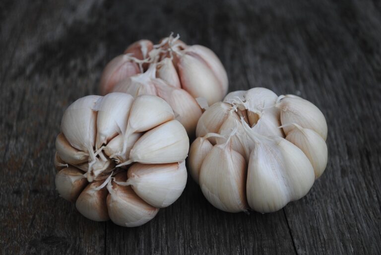 The Rise and Fall of G1 Garlic