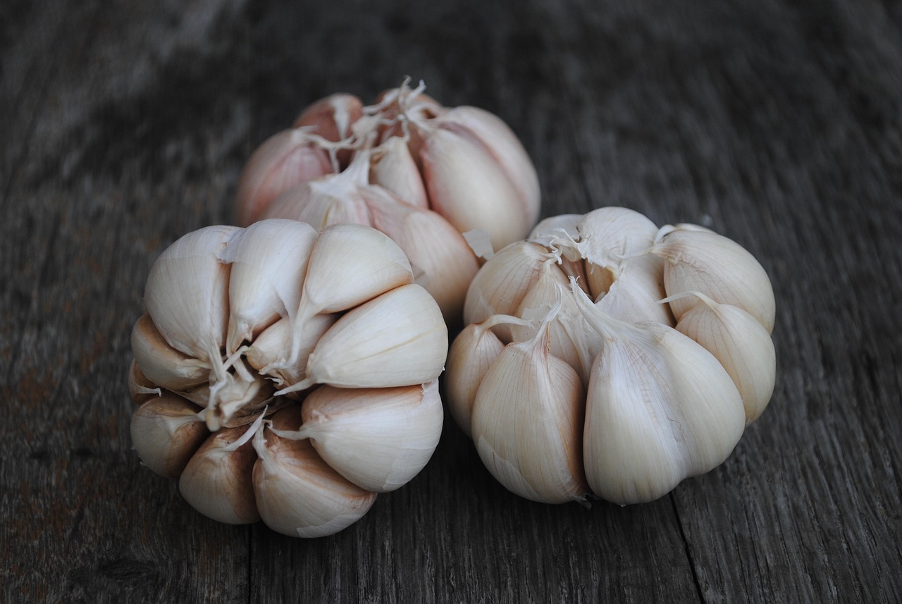 The Rise and Fall of G1 Garlic