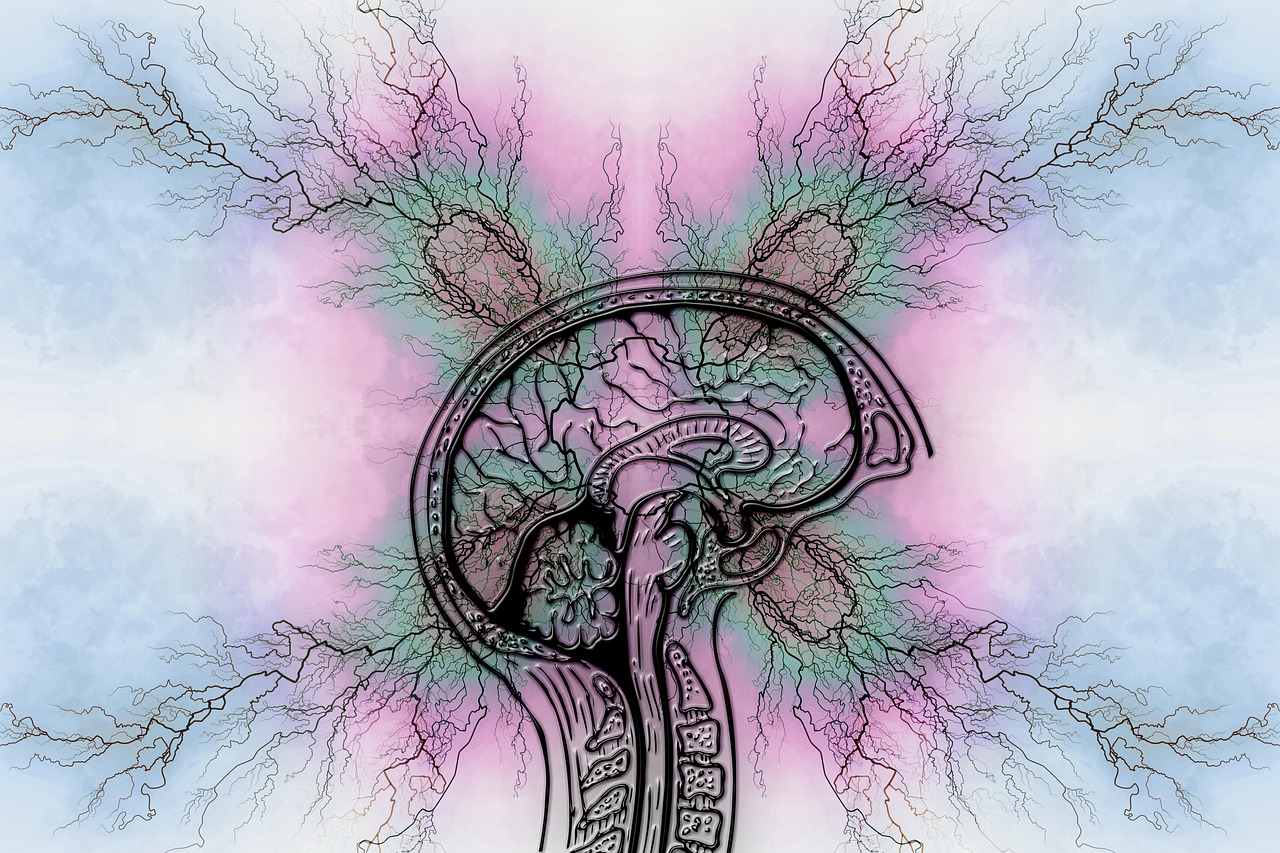 DoctorHub360.com Neurological Diseases