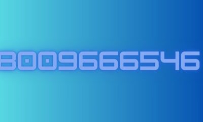 8009666546