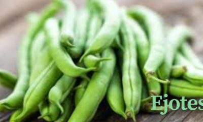 Ejotes