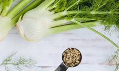 What Are Fennel Seeds