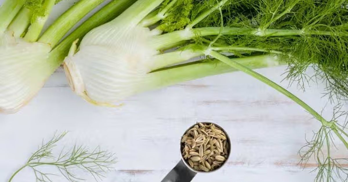What Are Fennel Seeds