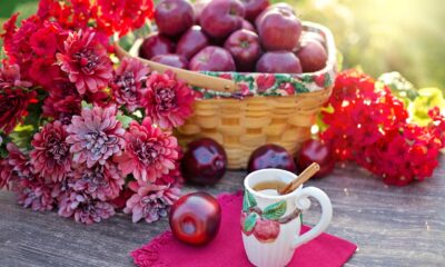 Apple Cider Vinegar Tonic